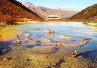 Jiuzhaigou Valley- Image_31