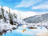 Jiuzhaigou Valley- Image_2
