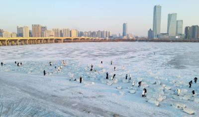 Harbin Songhua River Diamond Sea