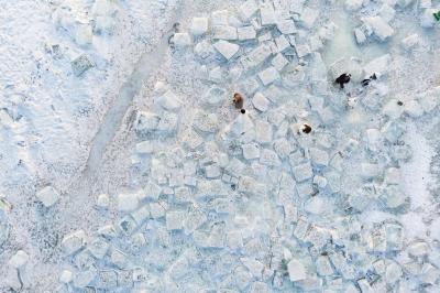 Harbin Diamond Sea
