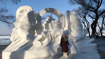 Harbin Songhua River Ice and Snow Carnival 2026