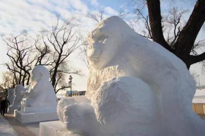 Harbin Stalin Park 