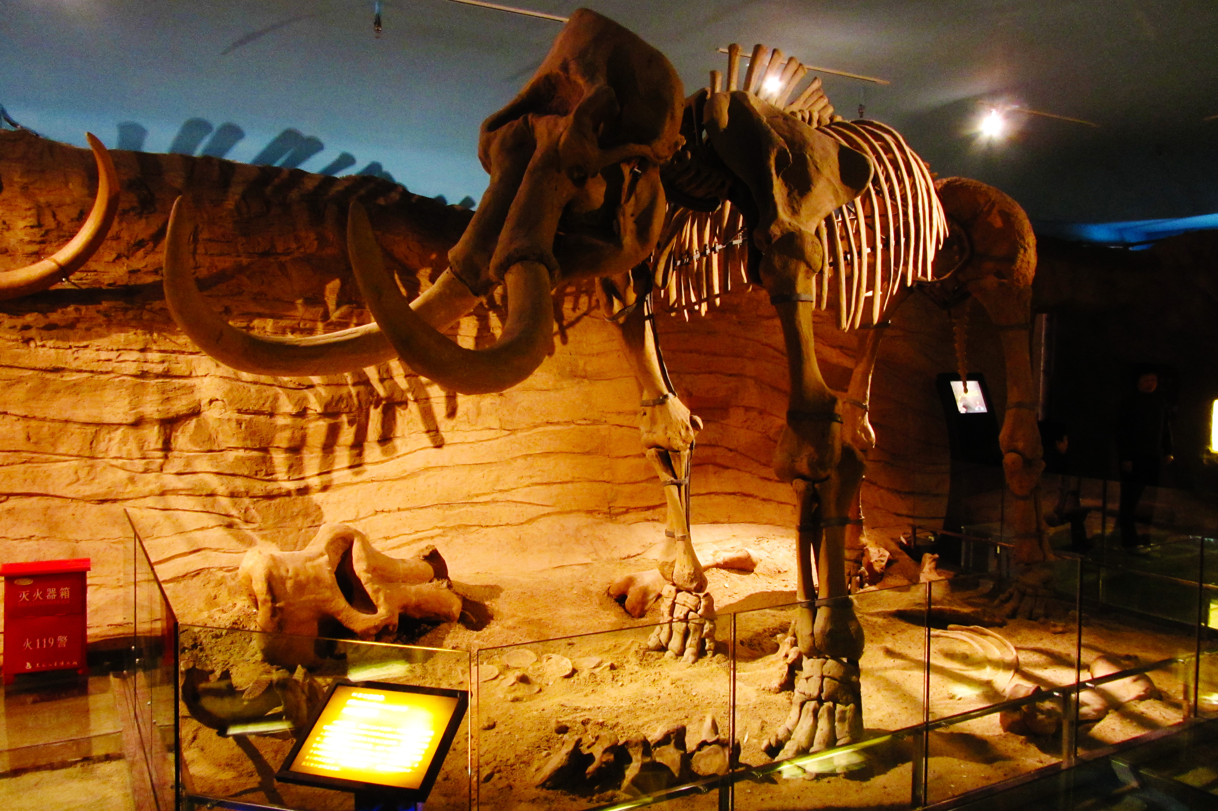 Heilongjiang Provincial Museum