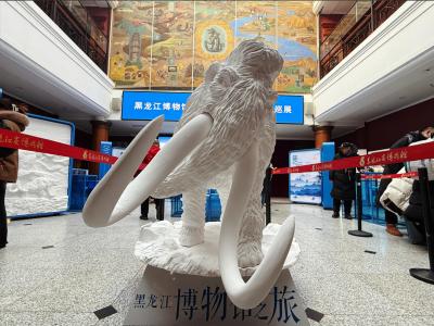 Heilongjiang Provincial Museum