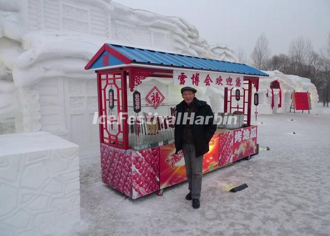 2013 Harbin Snow Sculpture Art Expo Images