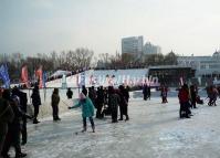 Harbin Ice Spinning-top 