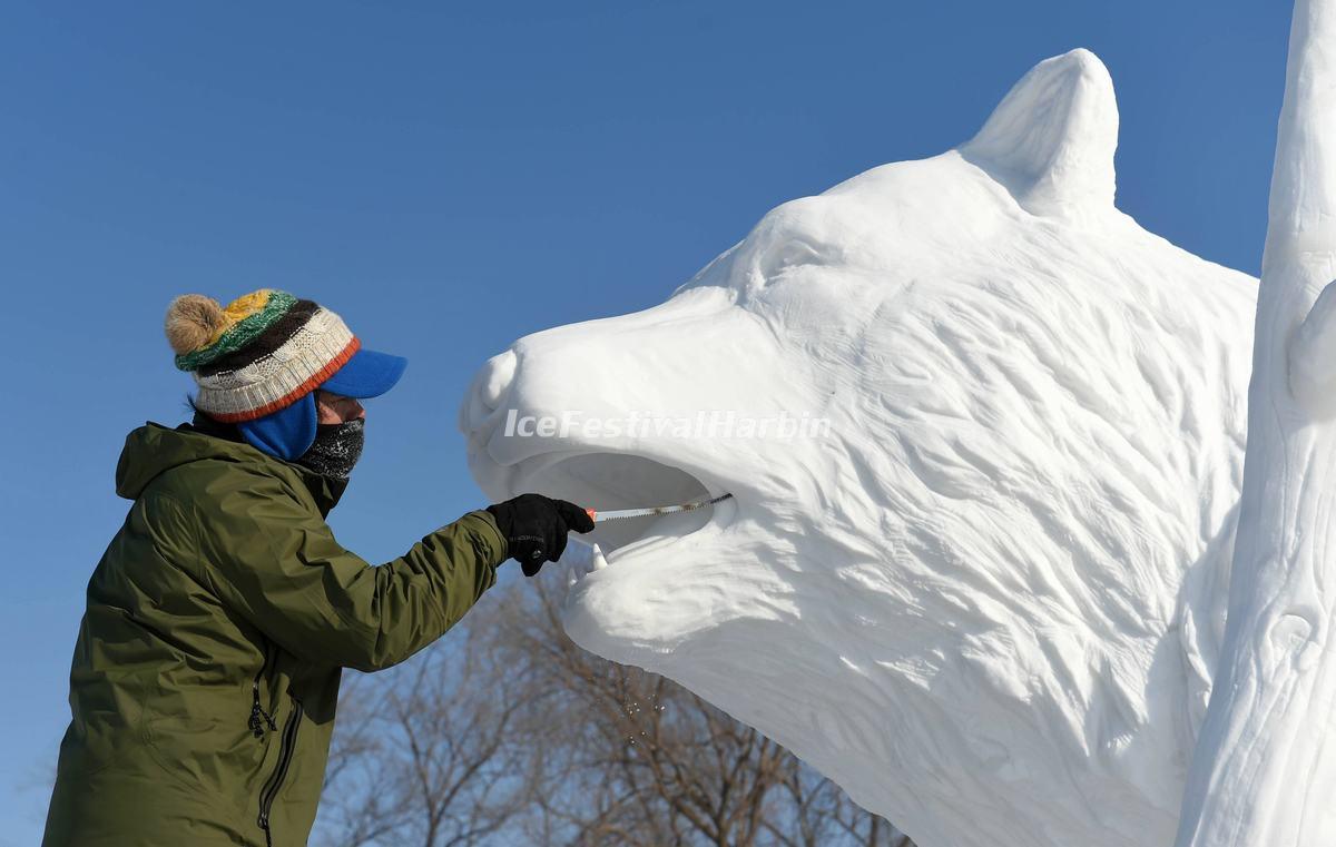 Harbin International Snow Sculpture Competition