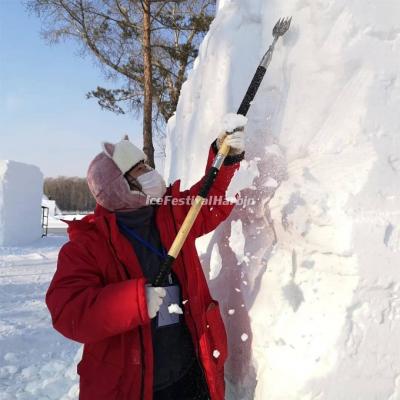 2021 Harbin China National Snow Sculpture Competition