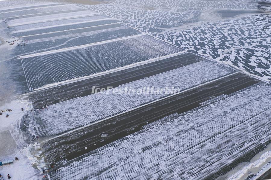 2021 Harbin Ice Collecting Festival