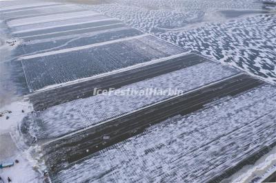 2021 Harbin Ice Collecting Festival