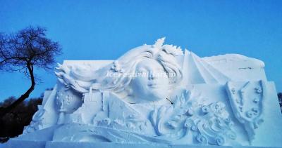 2021 Snow Sculpture Art Expo