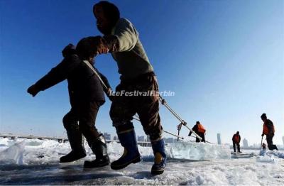 Harbin Ice and Snow Festival 2023