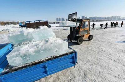 24th Harbin Ice and Snow World 