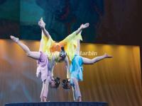 Acrobatics Show