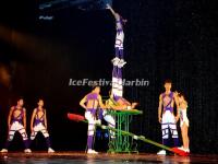 Shanghai Acrobatics Show