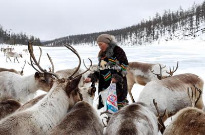 Arctic Village