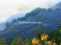 The Blue Bada Rice Terraces