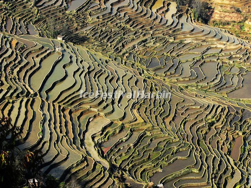 Yuanyang Bada Rice Terraces