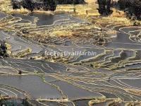 Bada Rice Terraces