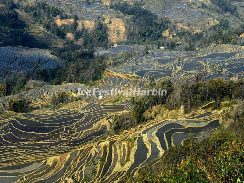 Honghe Hani Rice Terraces - Bada Rice Terraces