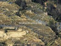 Bada Rice Terraces