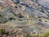 Bada Rice Terraces