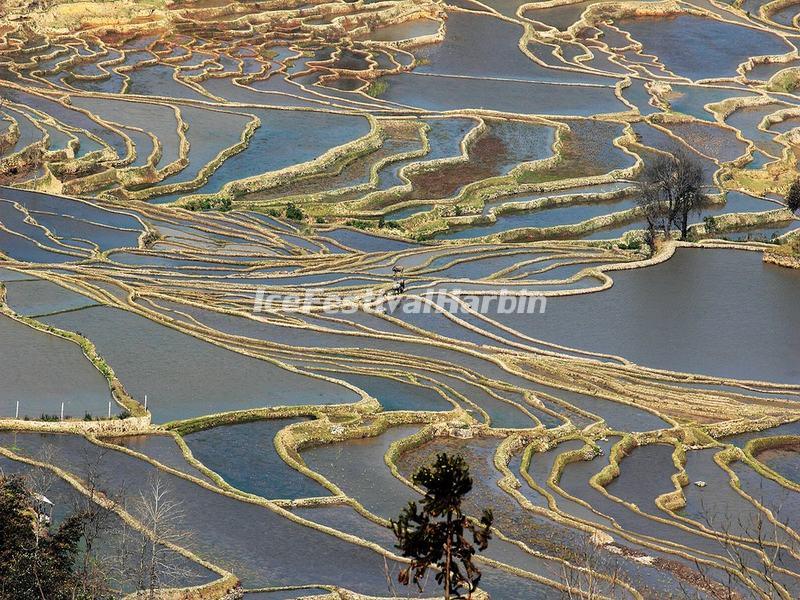 Bada Rice Terraces