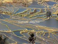 Bada Rice Terraces