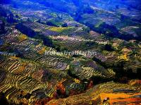 Honghe Hani Rice Terraces