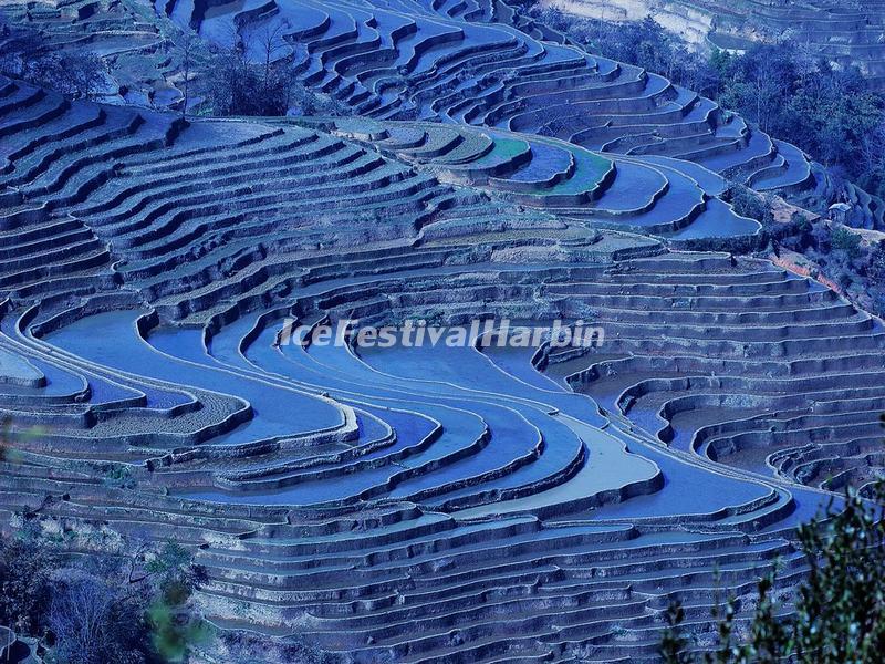 Bada Rice Terraces