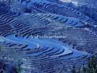 Yuanyang Bada Rice Terraces in Winter