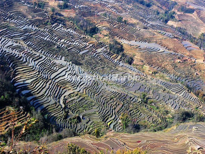 Yuanyang Bada Scenic Area