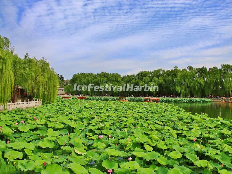 Beihai Park