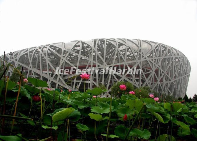 Beijing Bird's Nest