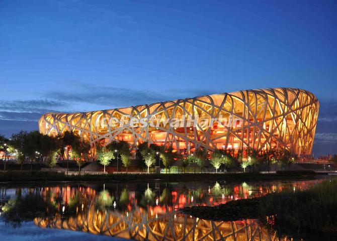 Beijing Bird's Nest