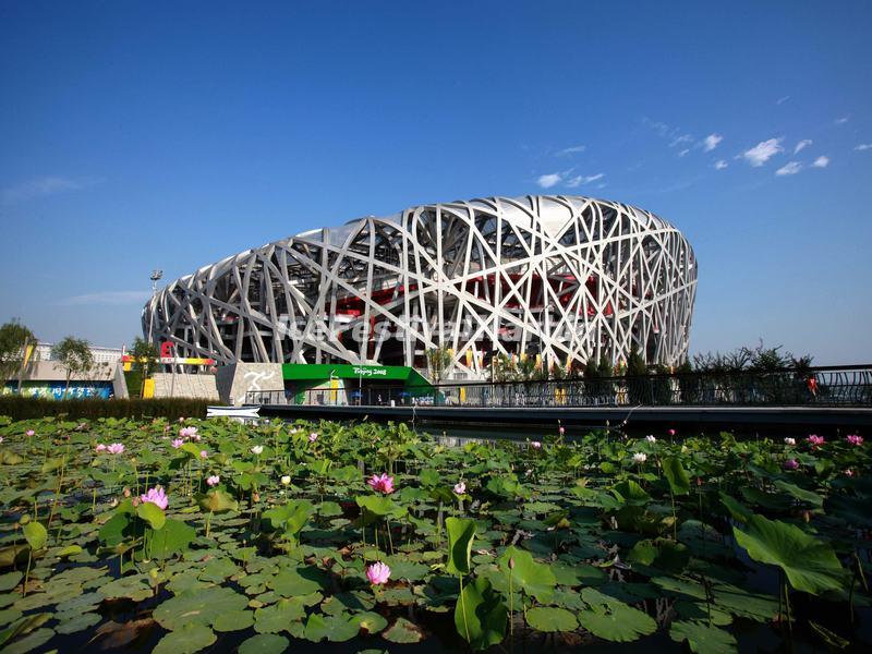 Beijing Bird's Nest