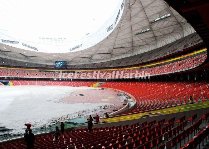 Beijing Bird's Nest
