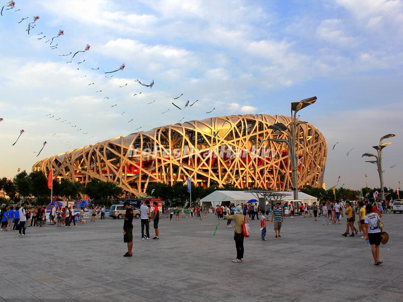 Beijing Bird's Nest
