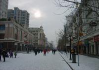 Harbin Zhong Yang Pedestrian Street 