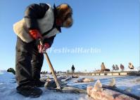 A Fisherman is Drilling Ice Hole on Chagan Lake 