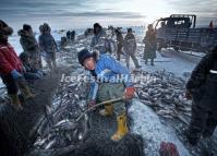 The Fishing Scene on Chagan Lake is Spectacular