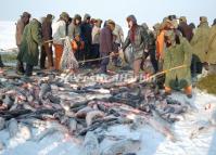 Winter Fishing in Chagan Lake