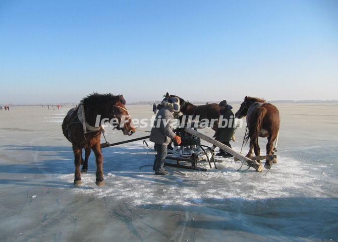 Chagan Lake Ice Fishing 