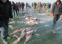 Chagan Lake Ice and Snow Fishing Festival Songyuan Jilin China