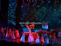 Charming Western Hunan Night Show