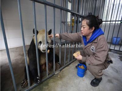 China Conservation and Research Center for the Giant Panda Dujiangyan Base