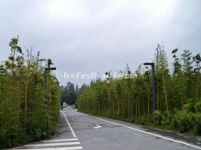 China Conservation and Research Center for the Giant Panda Dujiangyan Base