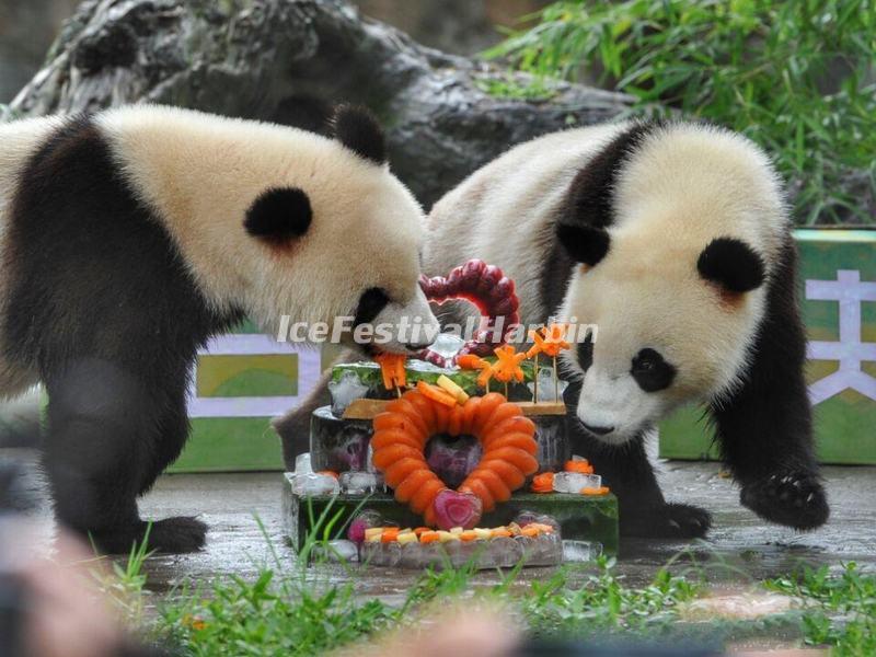 China Conservation and Research Center for the Giant Panda Dujiangyan Base