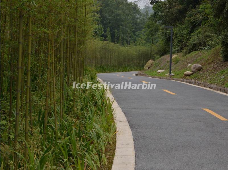 China Conservation and Research Center for the Giant Panda Dujiangyan Base