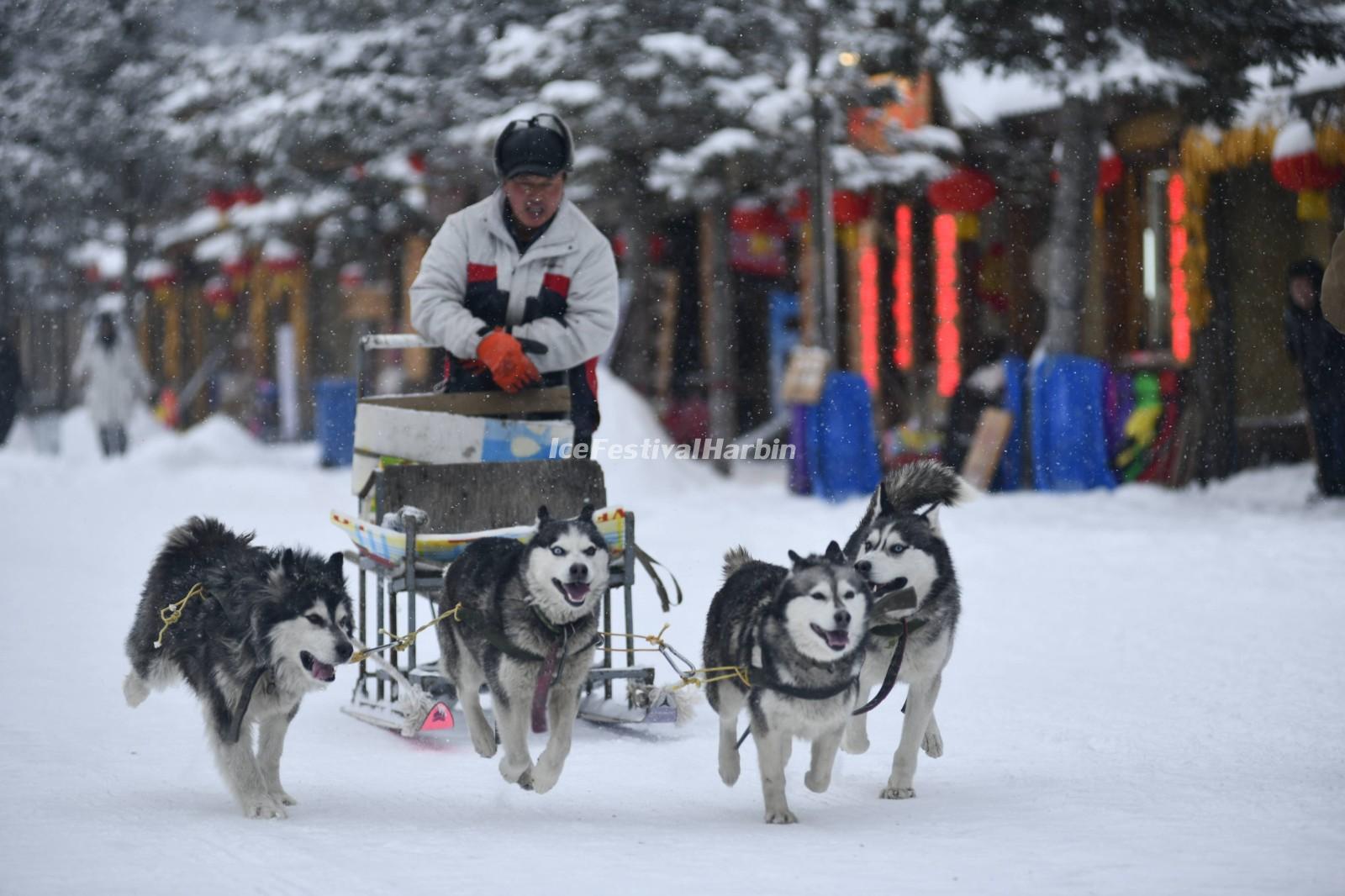 China's Snow Town
